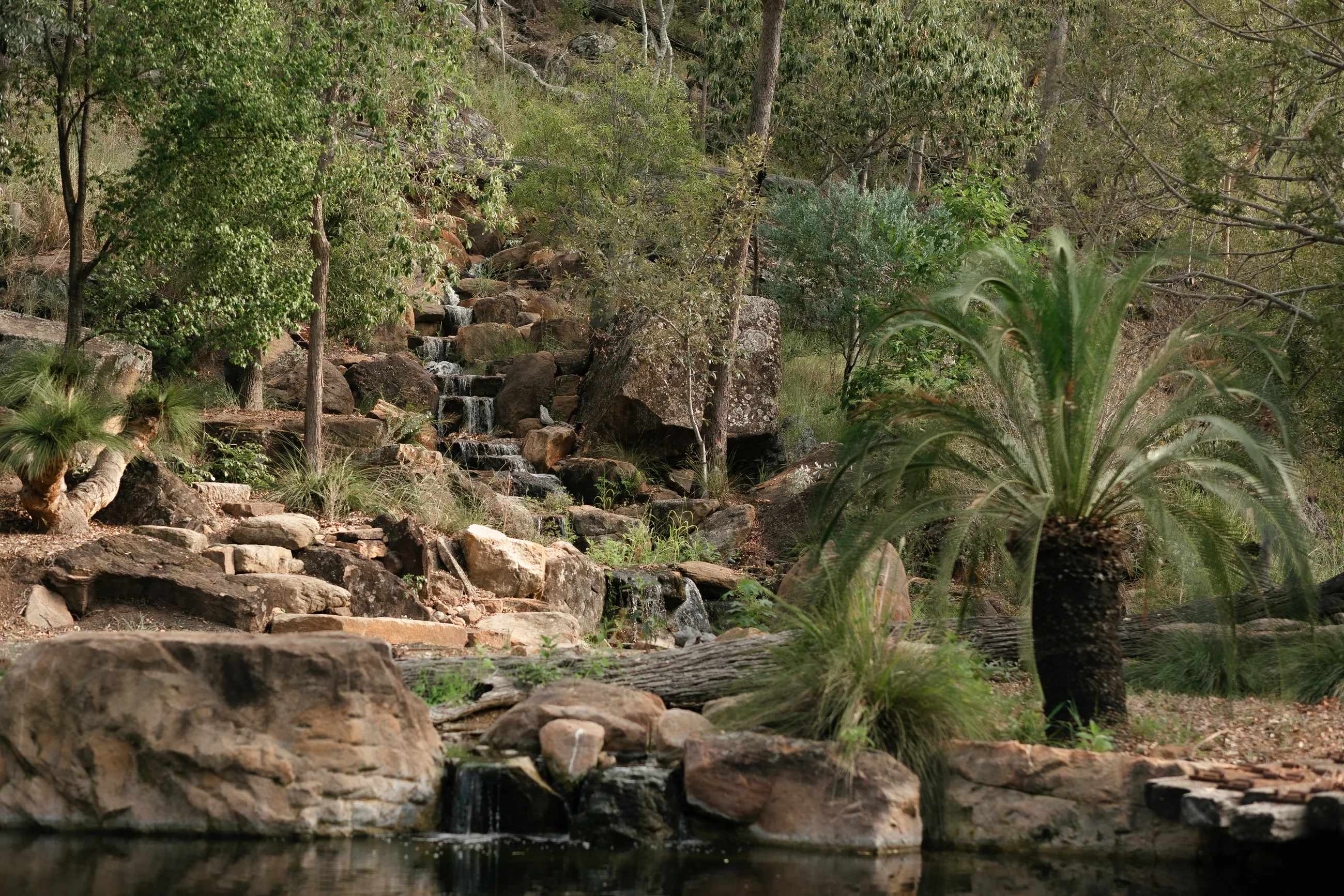The landscaped garden at the Ace of Spades property near Toowoomba: a rock waterfall, pond, Canary palm and grass trees