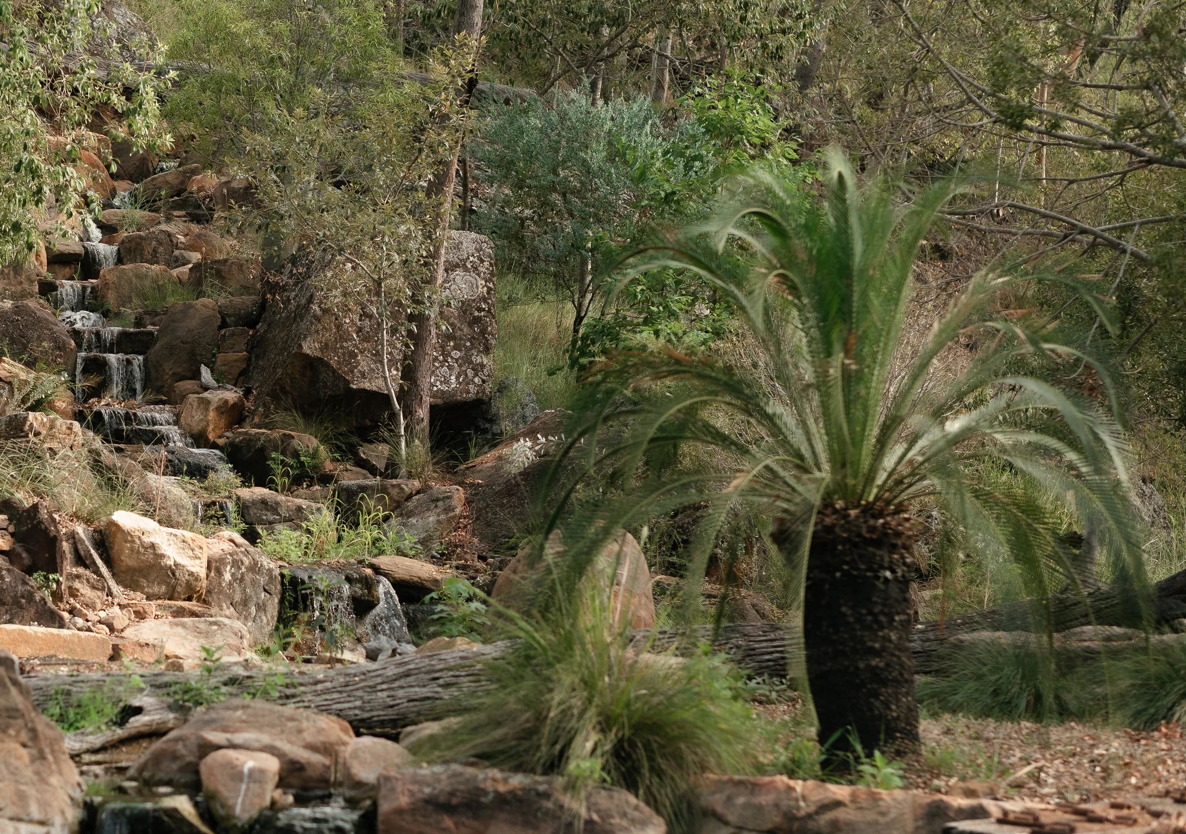 Rock waterfall and cycad in the landscaped garden at the Ace of Spades property near Toowoomba