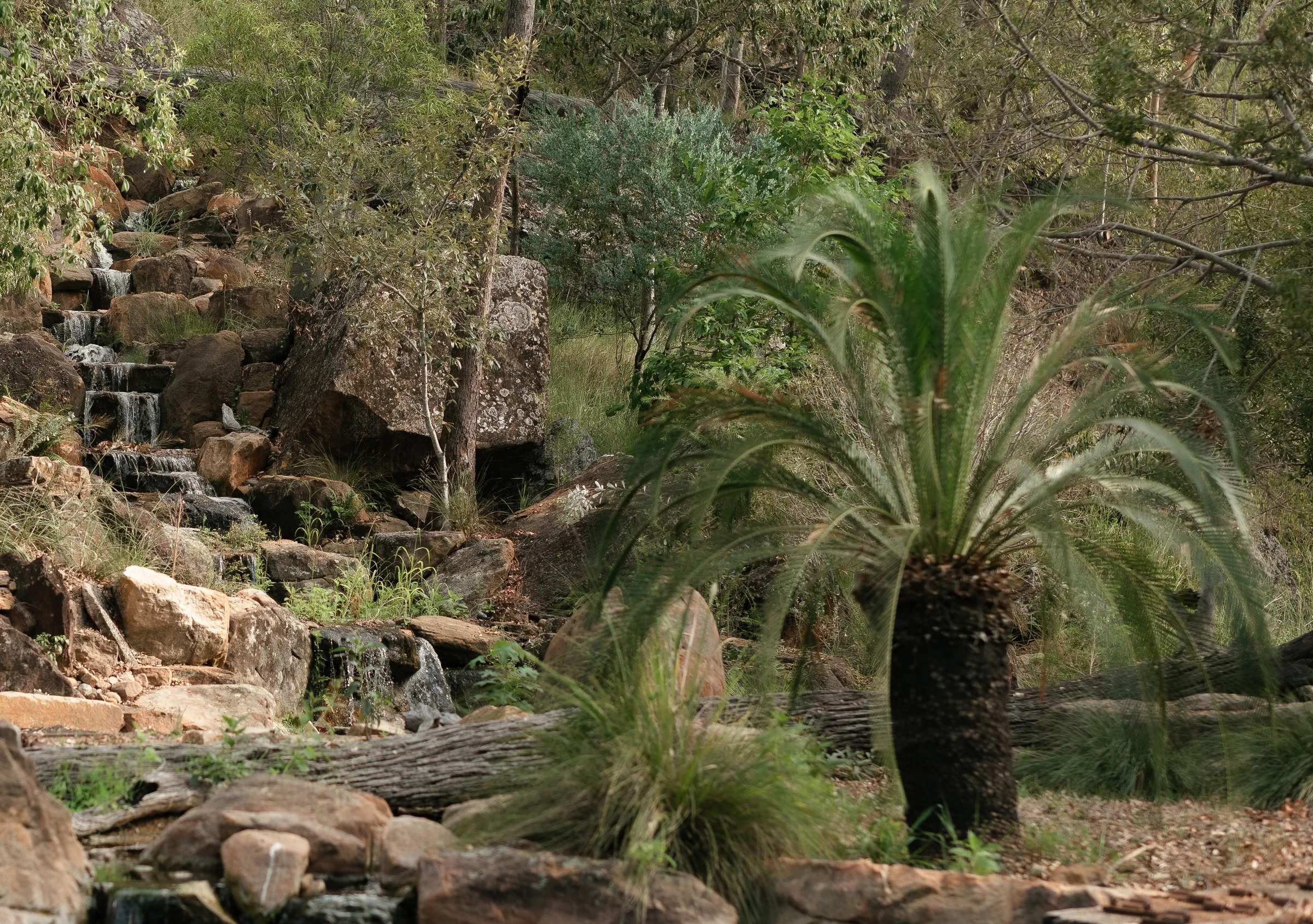 Rock waterfall and cycad in the landscaped garden at the Ace of Spades property near Toowoomba